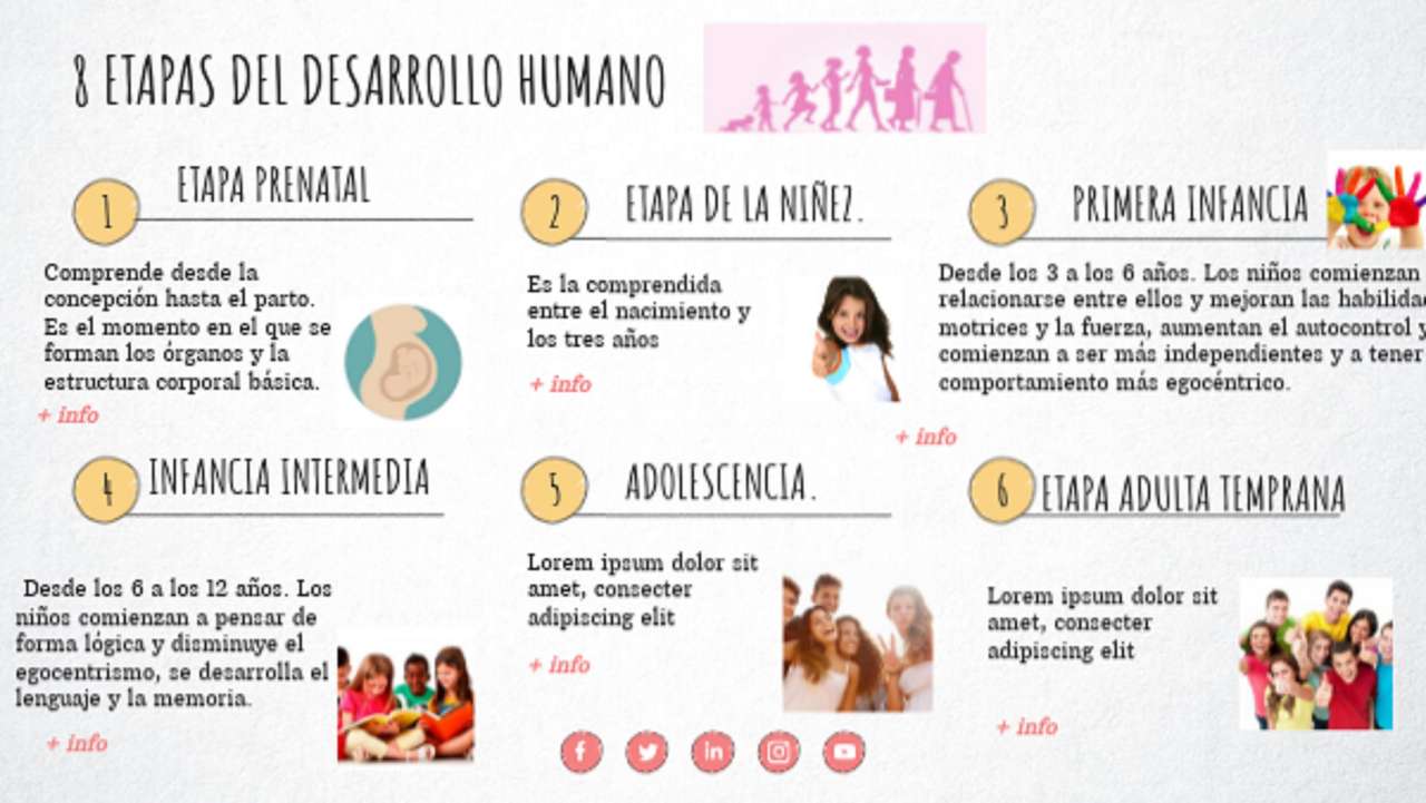 Las etapas del desarrollo humano rompecabezas en línea