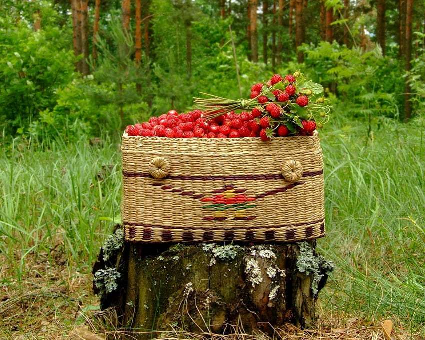 Вкусни диви ягоди, направо от гората, ням ням онлайн пъзел