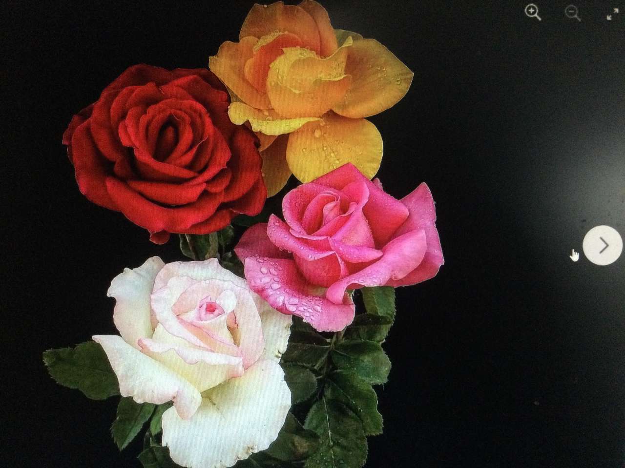 Bouquet de rose puzzle en ligne
