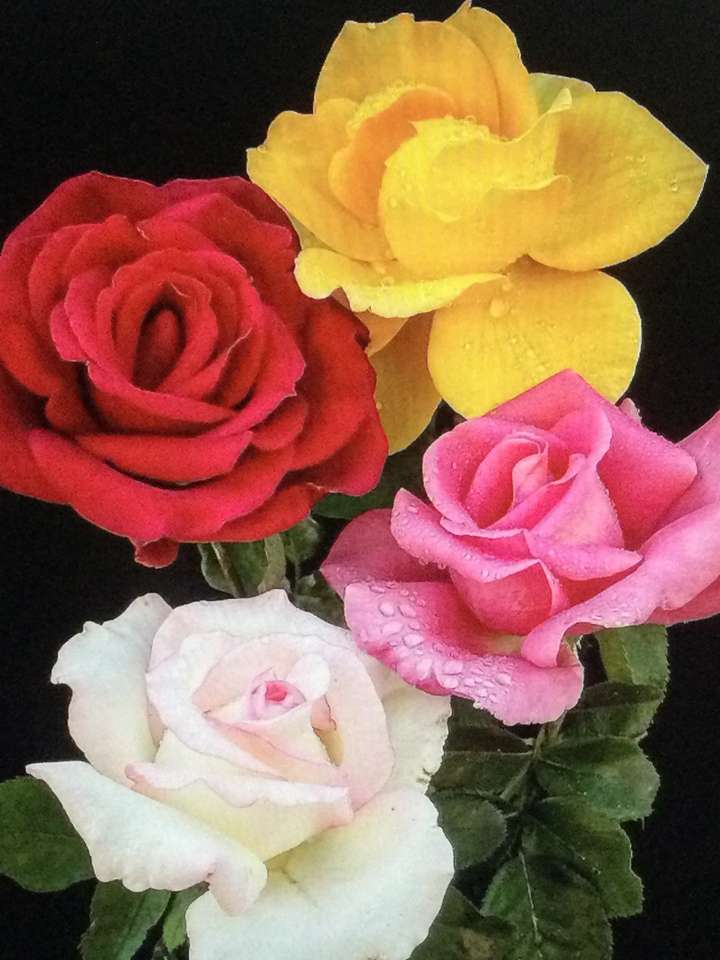 buchet de trandafiri puzzle online