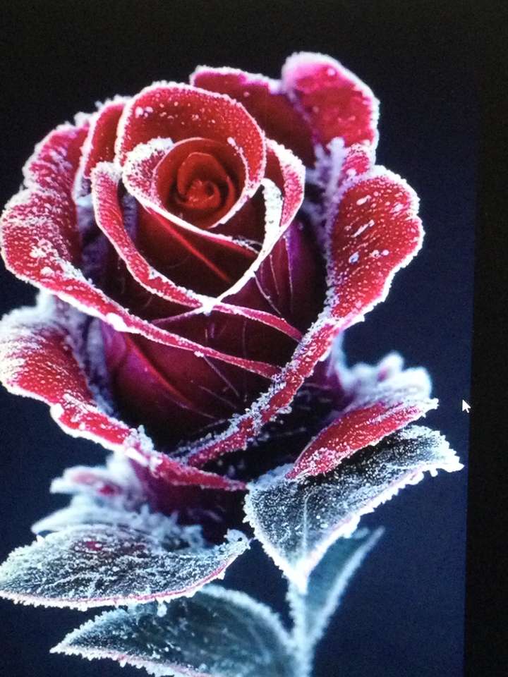 снежная роза пазл онлайн