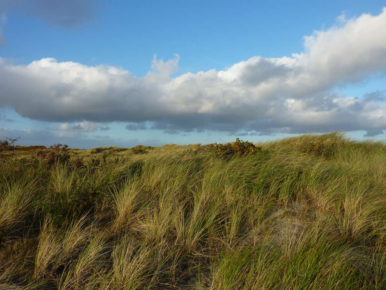 dune sur une île puzzle en ligne