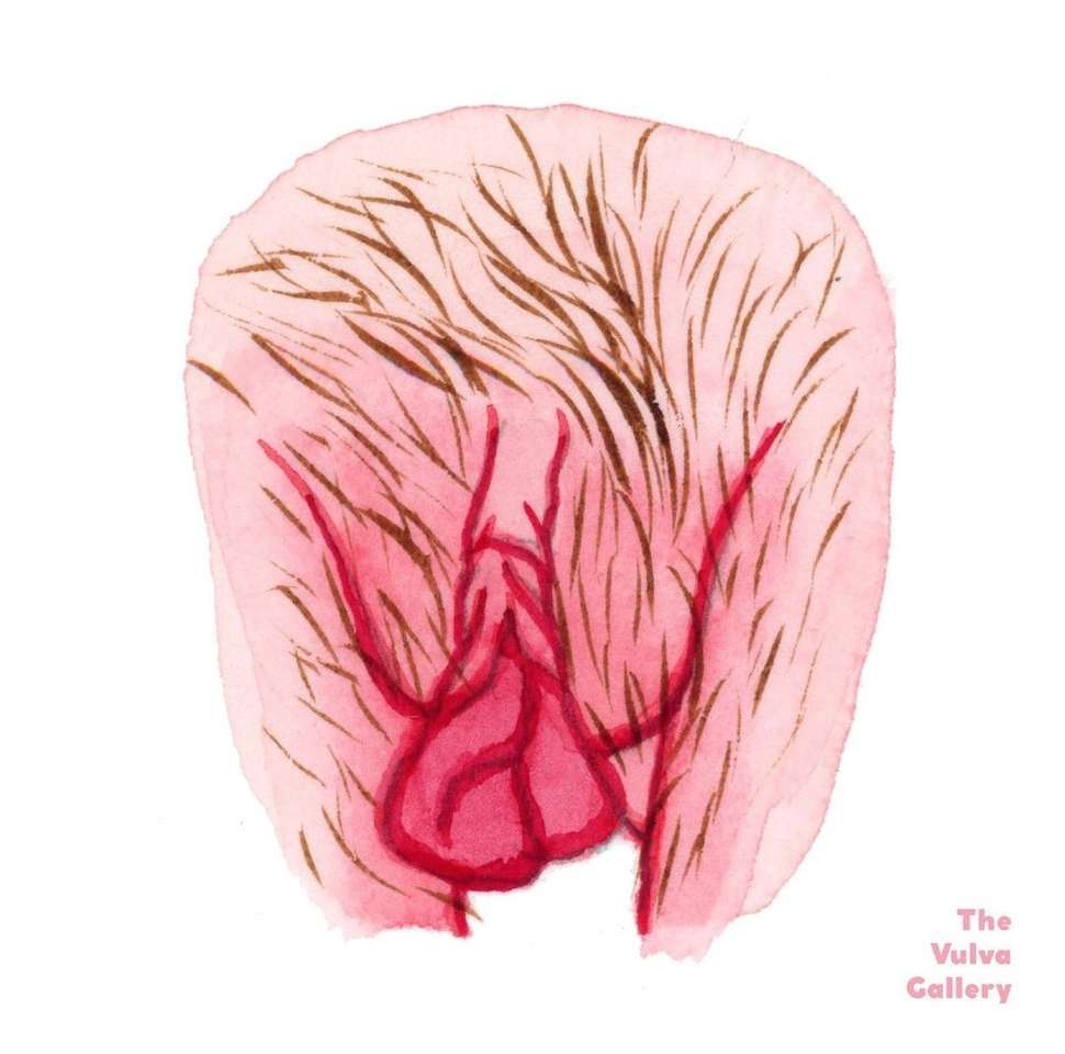 A vulva sokfélesége 1 online puzzle