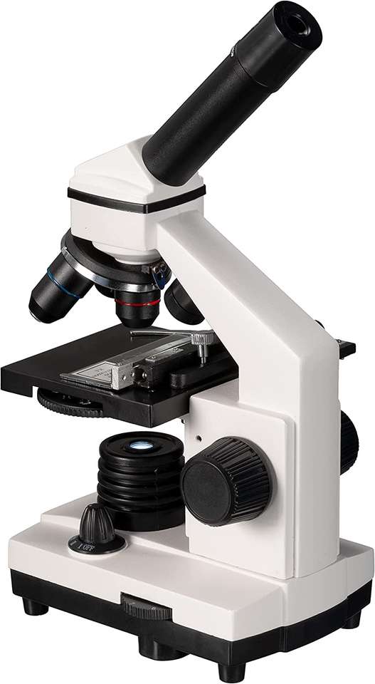 mikroskop skládačky online