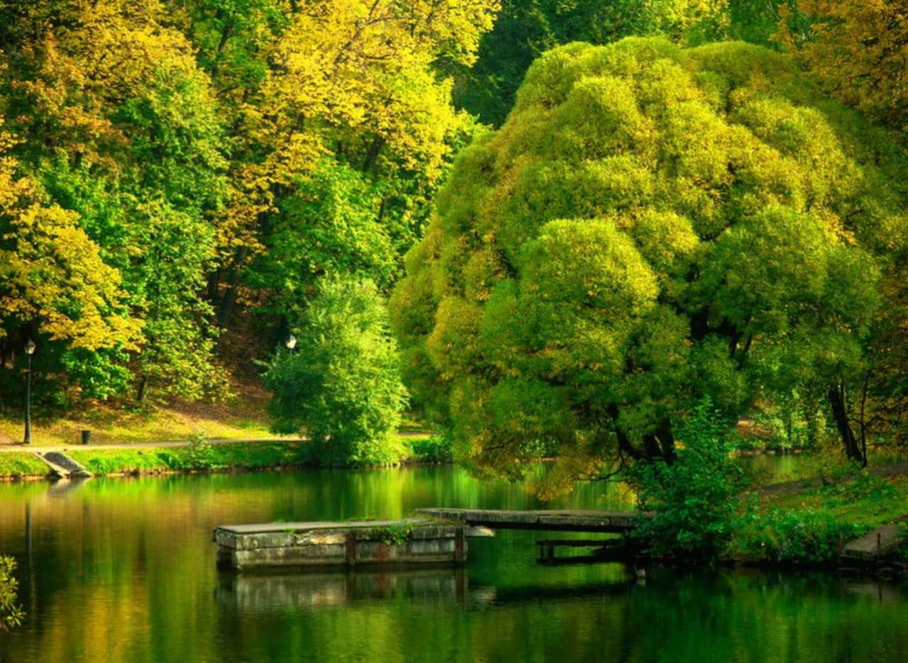 Beautiful early autumn in the park, what a view jigsaw puzzle online