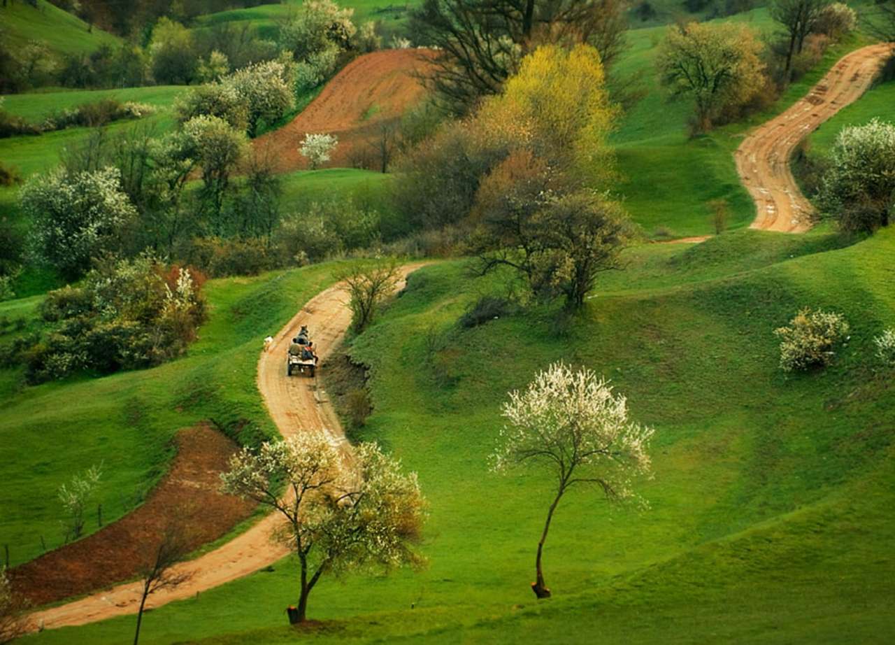 Country road among green meadows jigsaw puzzle online