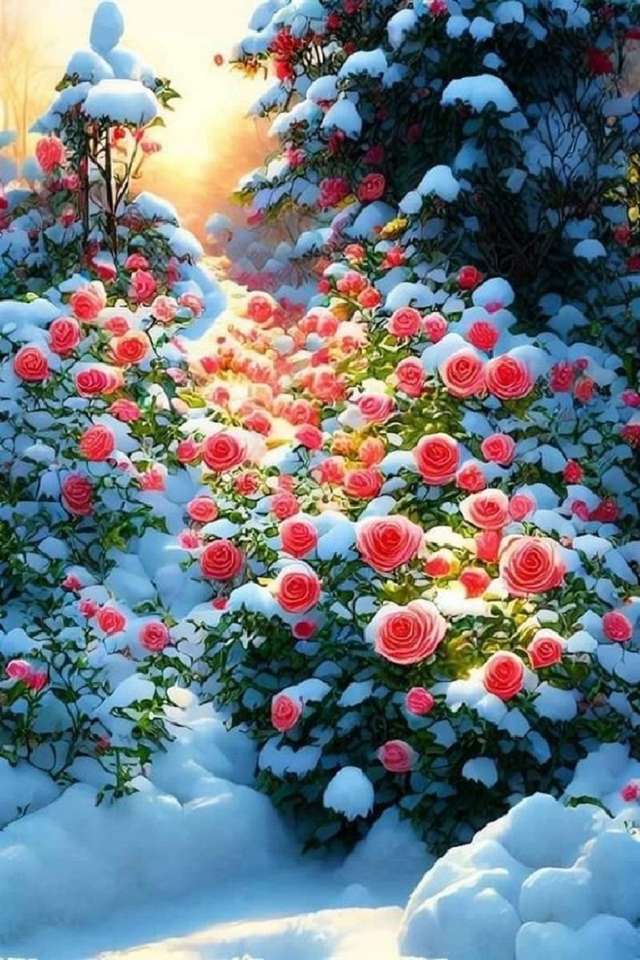 розы на снегу онлайн-пазл