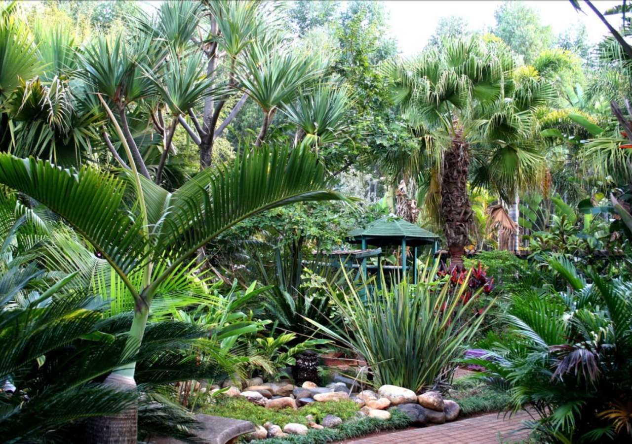 Inte färgstark men vacker tropisk trädgård Pussel online