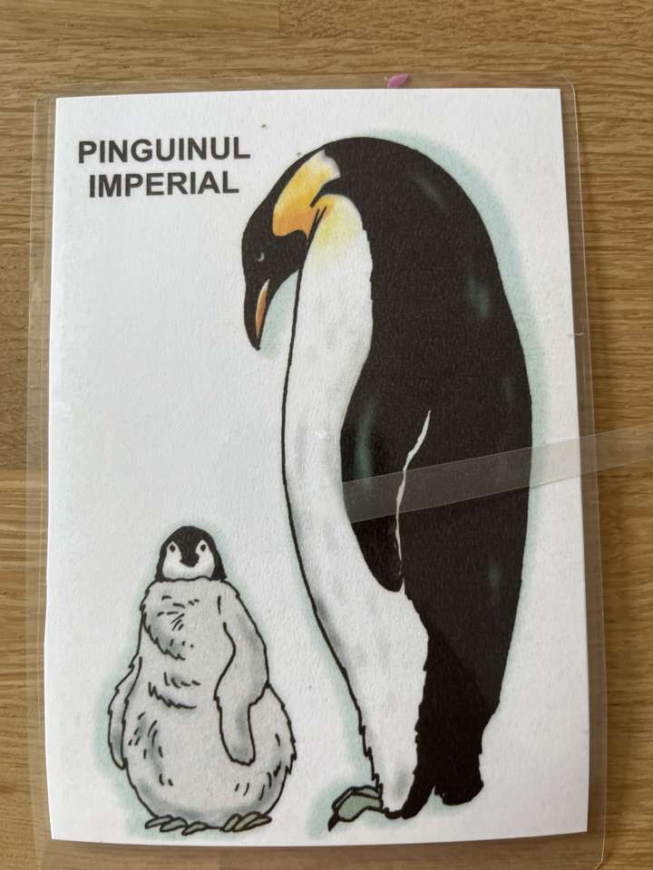 Императорски пингвин онлайн пъзел