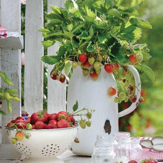 Εποχιακές φράουλες παζλ online