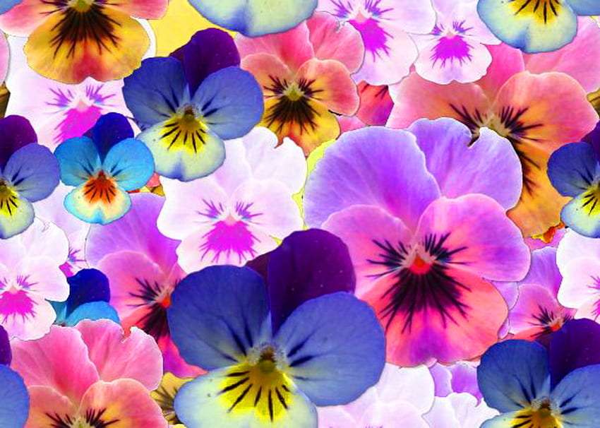 Geschilderde viooltjes - het gezicht van de lente :) online puzzel