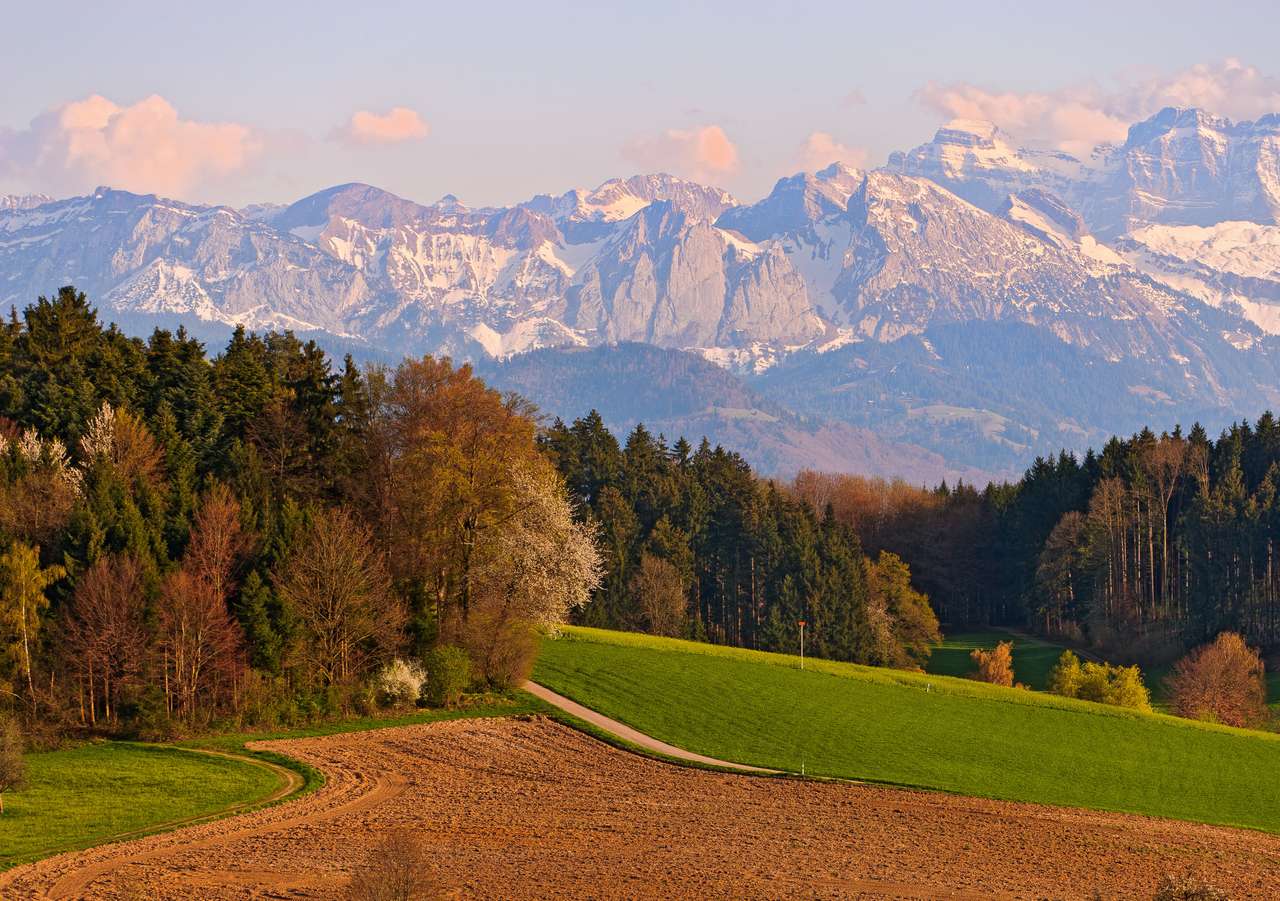 Швейцария - планинската красота на долината онлайн пъзел