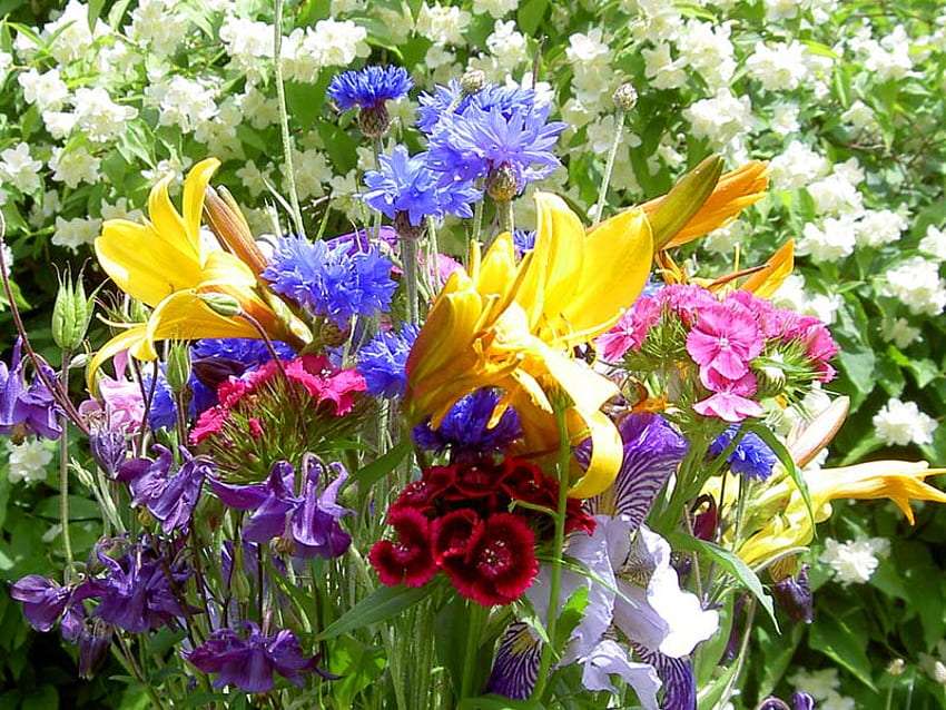 Jarní barvy duhy na zahradě mě těší skládačky online
