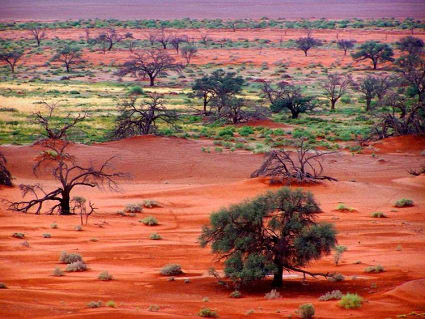 Il paesaggio del deserto del Kalahari, che spettacolo puzzle online