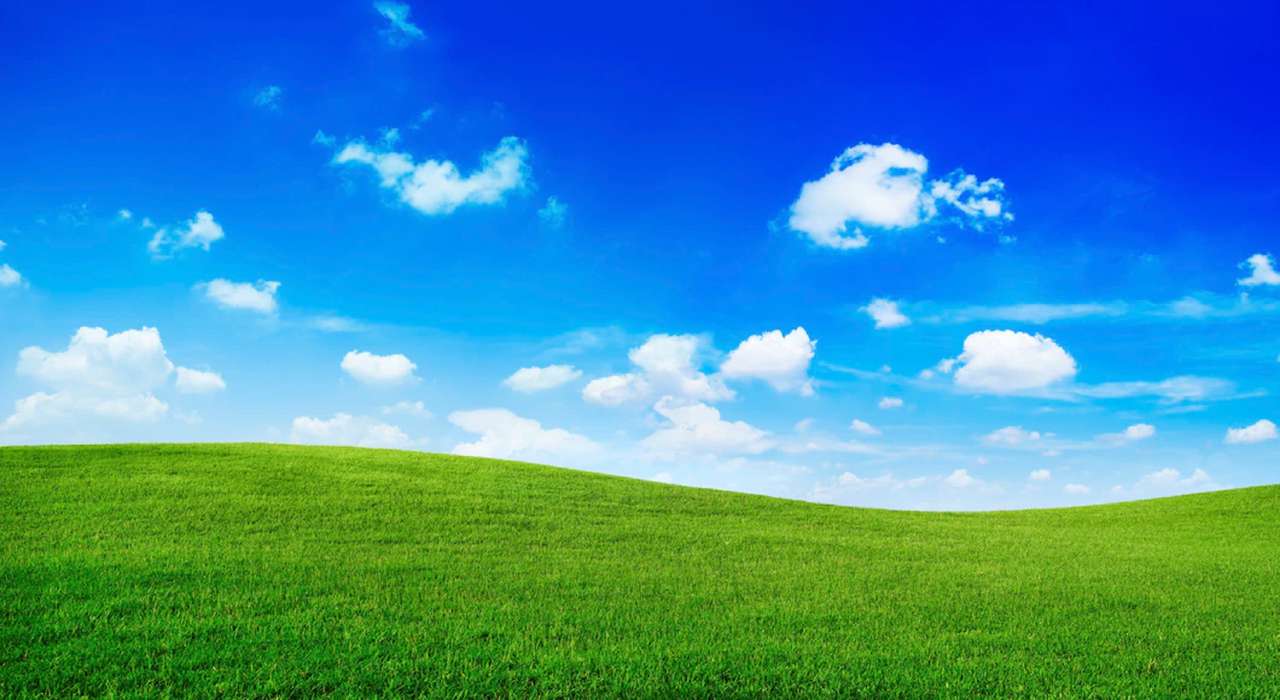 Gräs och himmel. Pussel online