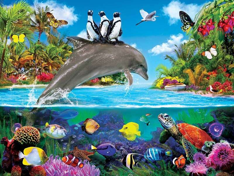 spectacle de dauphins puzzle en ligne