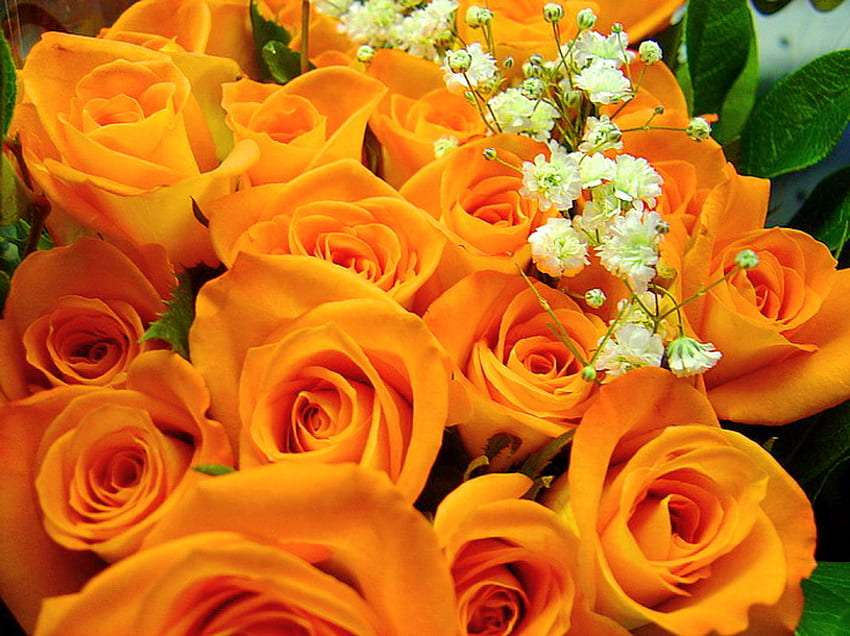 Φθινοπωρινά τριαντάφυλλα για τους φίλους μου παζλ online