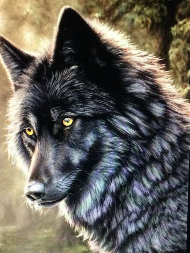 černý vlk skládačky online