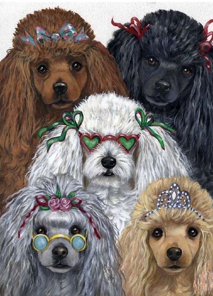 Cinque bellissimi cagnolini puzzle online