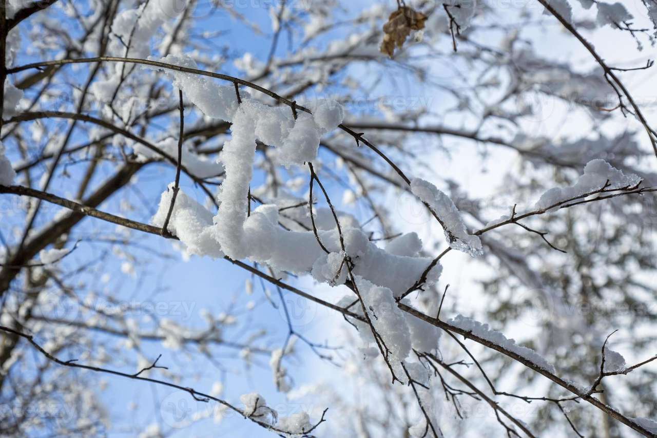 雪に覆われた枝 ジグソーパズルオンライン