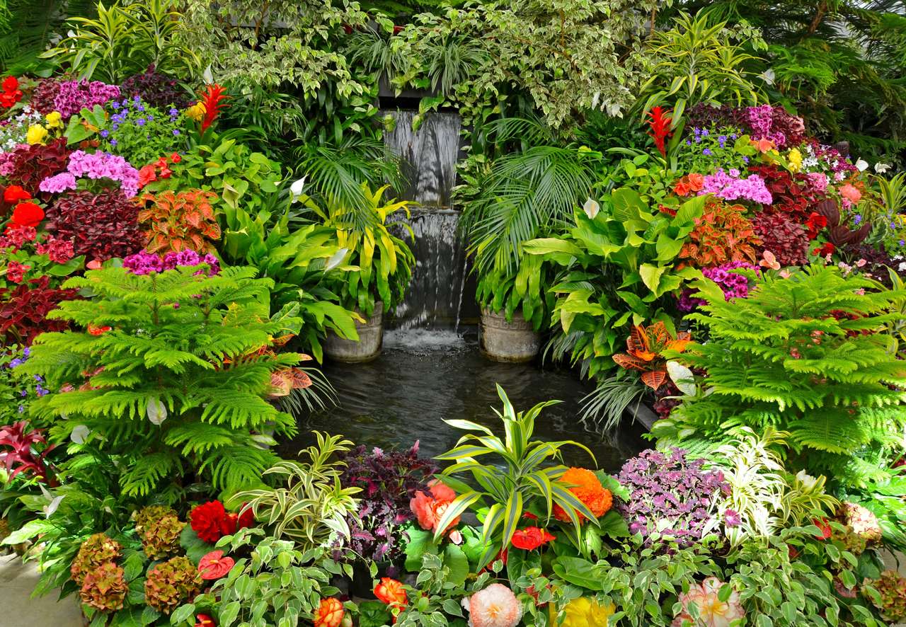 Egy trópusi kert varázsa, micsoda kilátás kirakós online