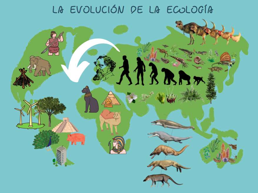 Evoluce ekologie online puzzle