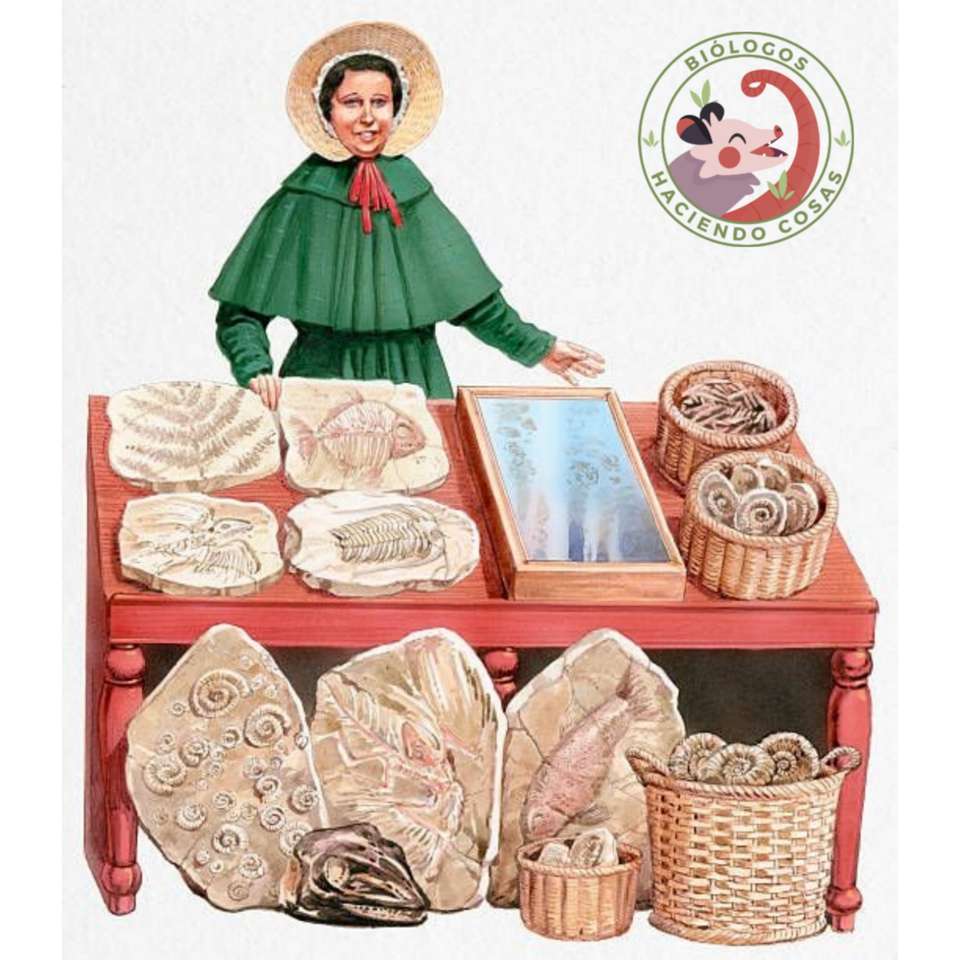 MARY ANNING puzzle online
