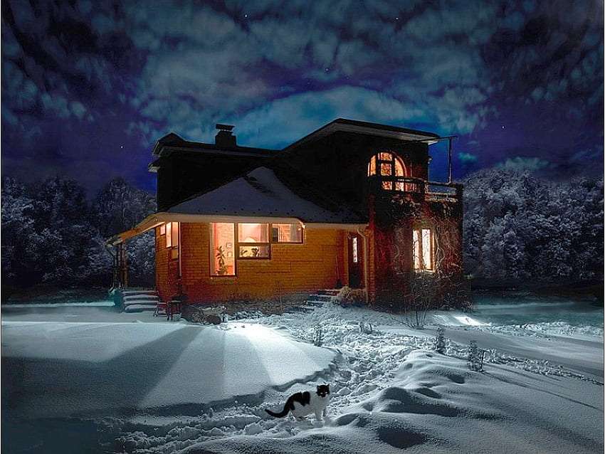Winter interessant huis en coole kat legpuzzel online