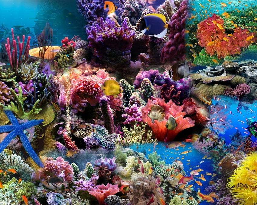 An underwater landscape, colorful like a garden on the ground jigsaw puzzle online