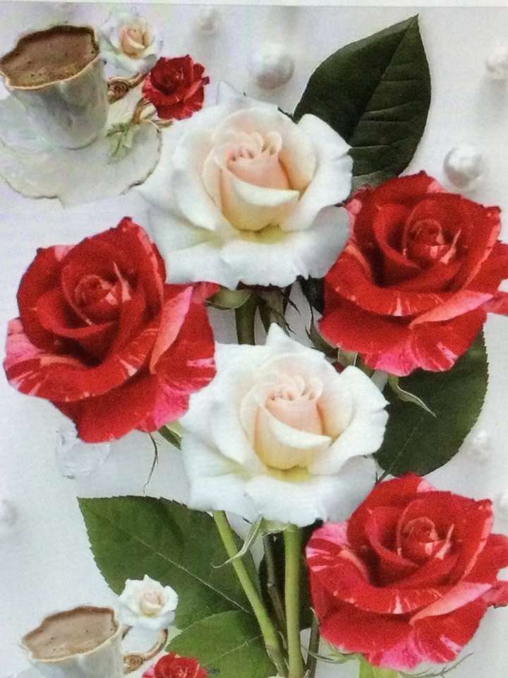Червона і біла троянда пазл онлайн