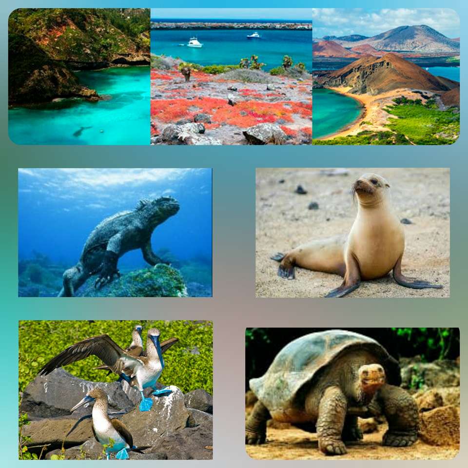 GALAPAGOS jigsaw puzzle online