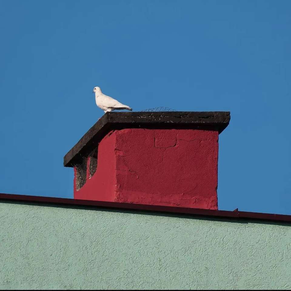 Vogel op een schoorsteen legpuzzel online
