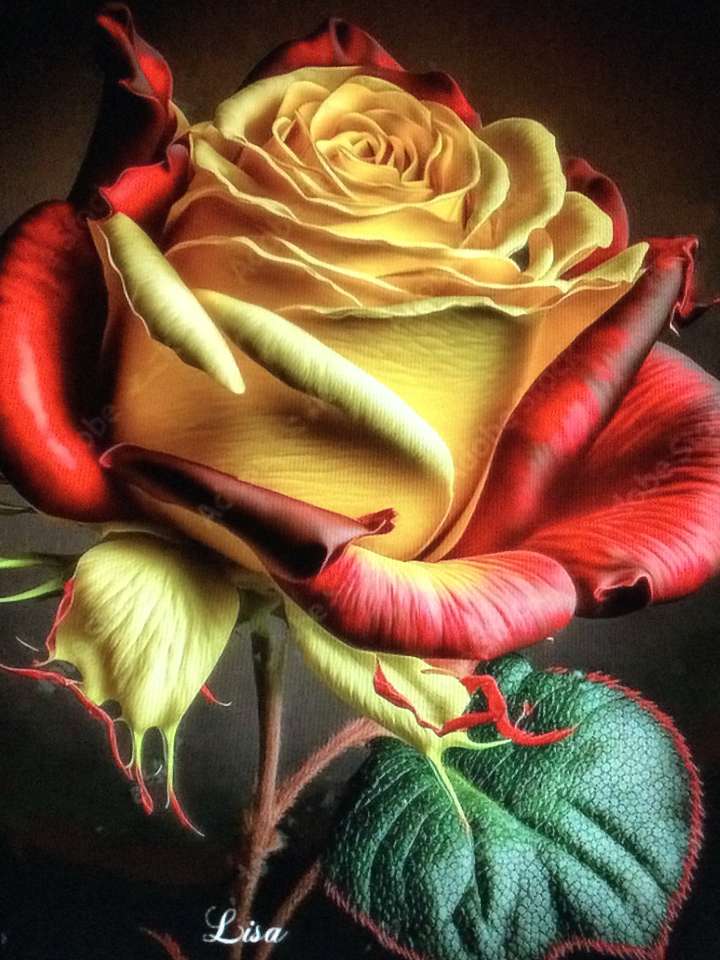 žlutá a červená růže skládačky online