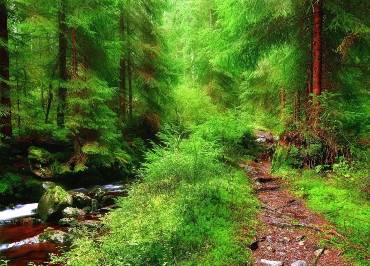 Η ομορφιά του δάσους σε ένα μικρό ποτάμι, ένα θαύμα παζλ online