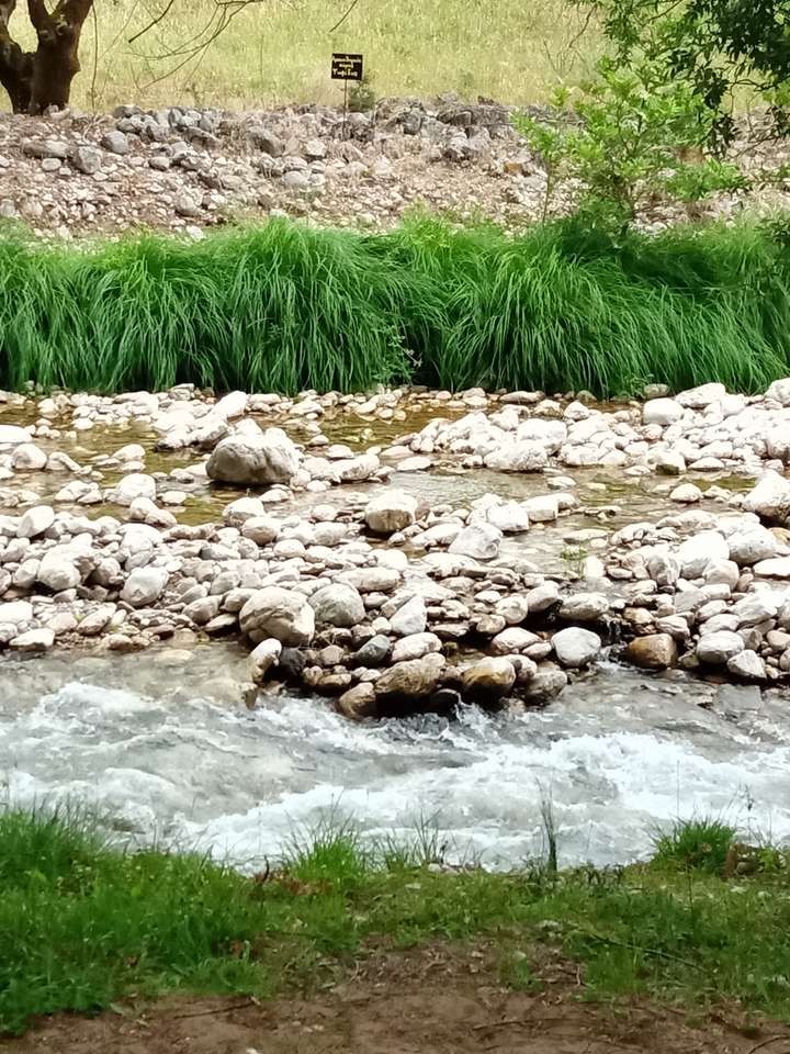 en el rio rompecabezas en línea