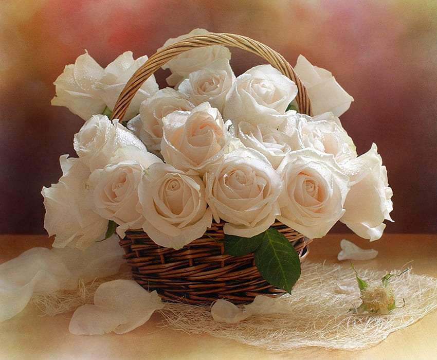 Бялото е красиво, розите още повече онлайн пъзел