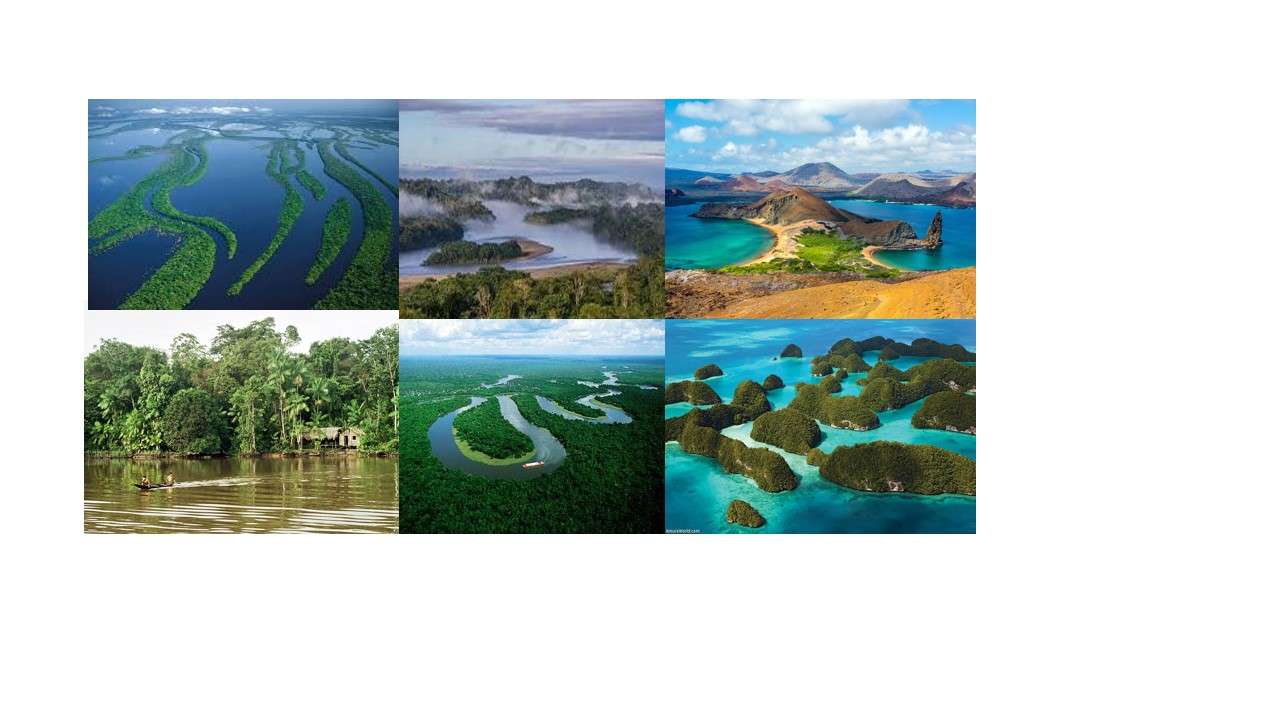 νησιωτική περιοχή και Αμαζόνα παζλ online