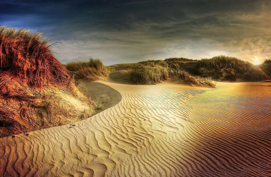 Пейзаж дюн онлайн-пазл
