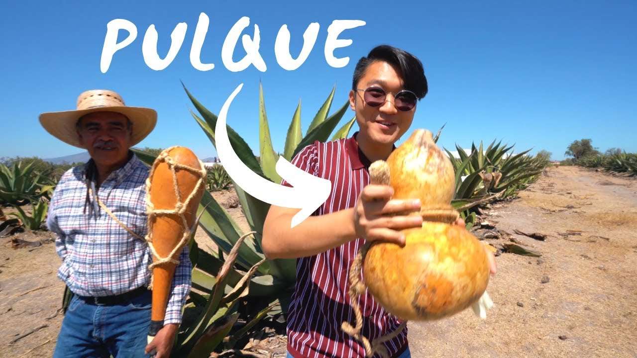 Pulque an der Küste von Guadalupe Online-Puzzle