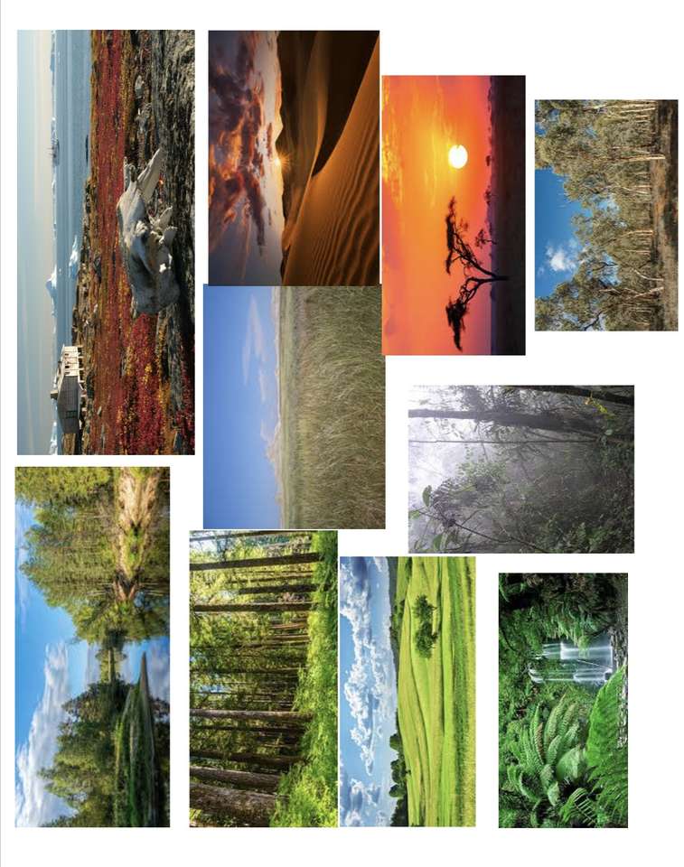 Tipos de ecossistemas puzzle online