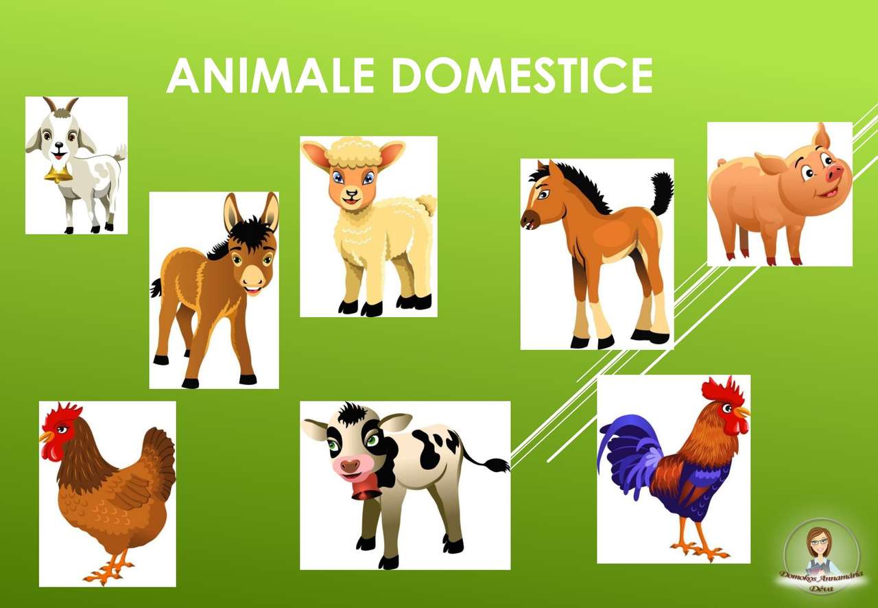 Tiere aus dem menschlichen Hof Puzzlespiel online