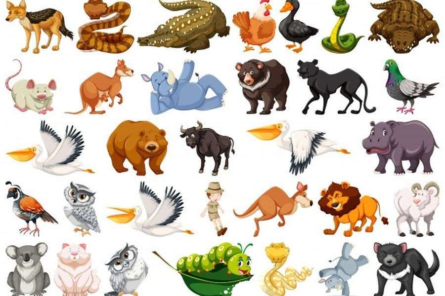 Wilde Tiere Online-Puzzle