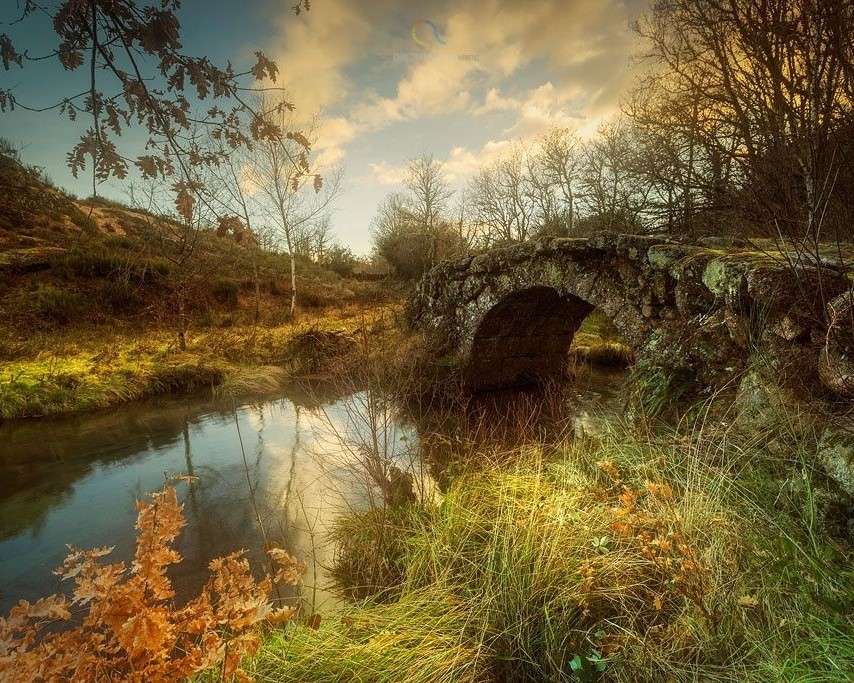Pod vechi peste râu jigsaw puzzle online