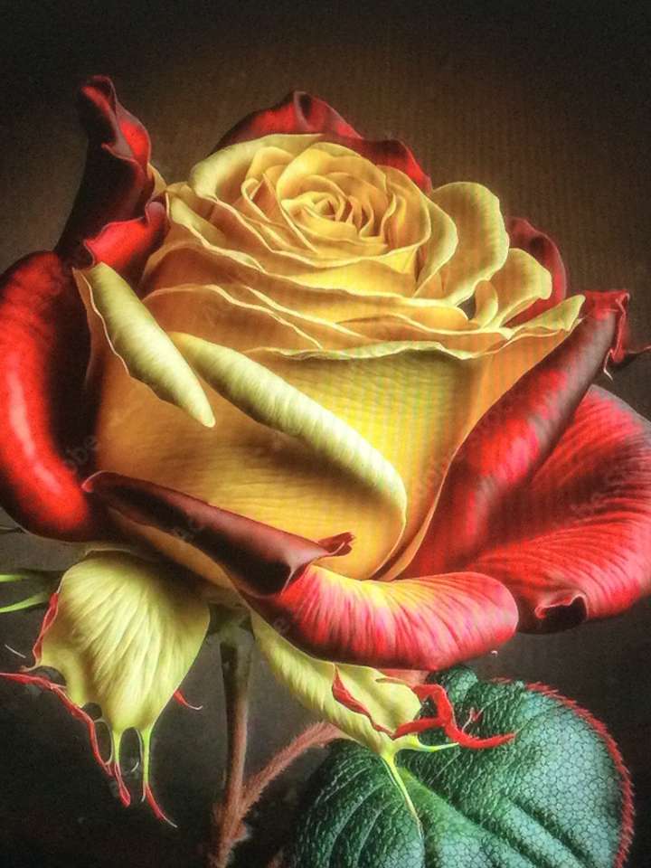 жълта и червена роза онлайн пъзел