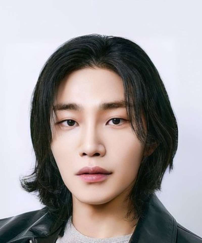 Kim Jae-Young, koreanischer Schauspieler und Sänger Online-Puzzle