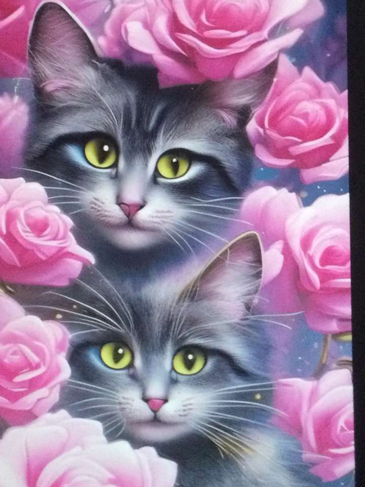 gattini gemelli puzzle online