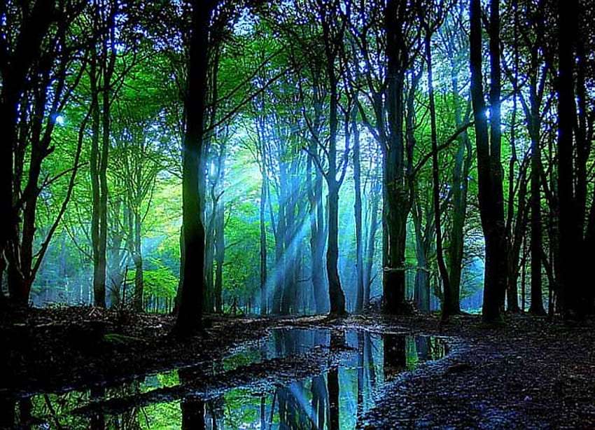 Crepúsculo da floresta - raios do sol, névoa azul puzzle online