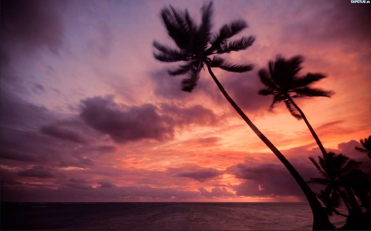 Solnedgång och palmer pussel på nätet