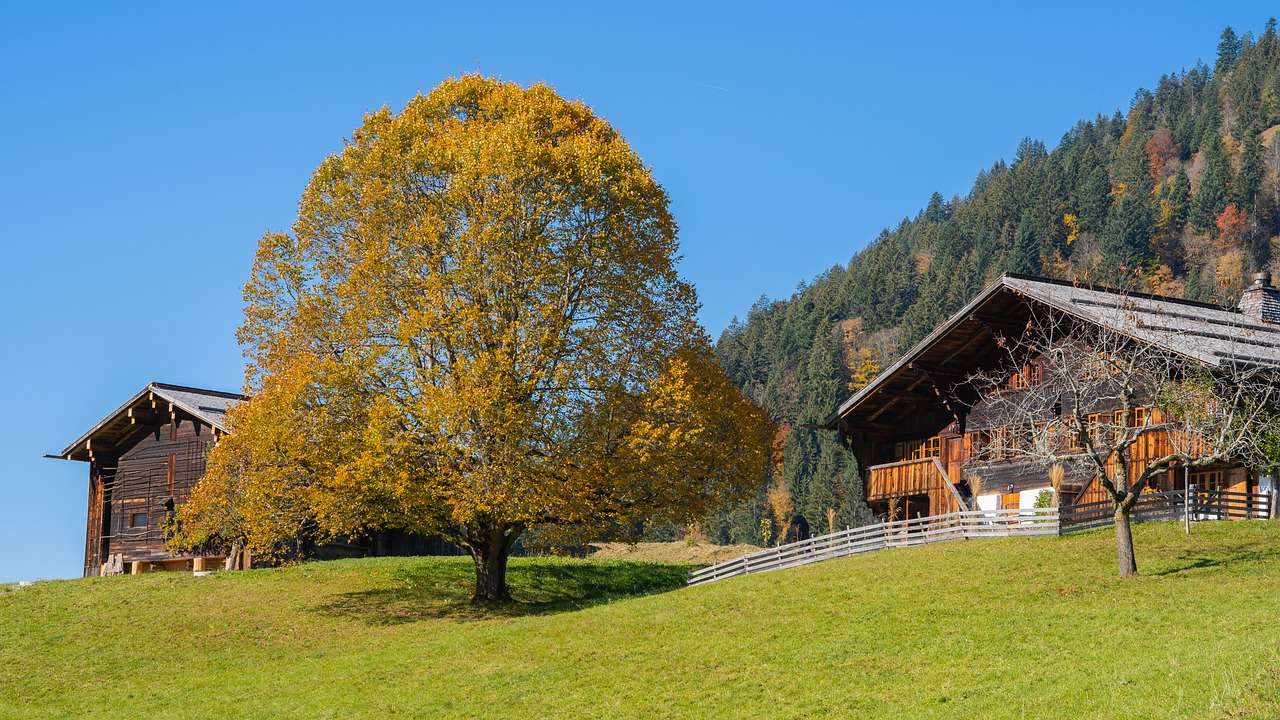 Berglandschap Bergen legpuzzel online