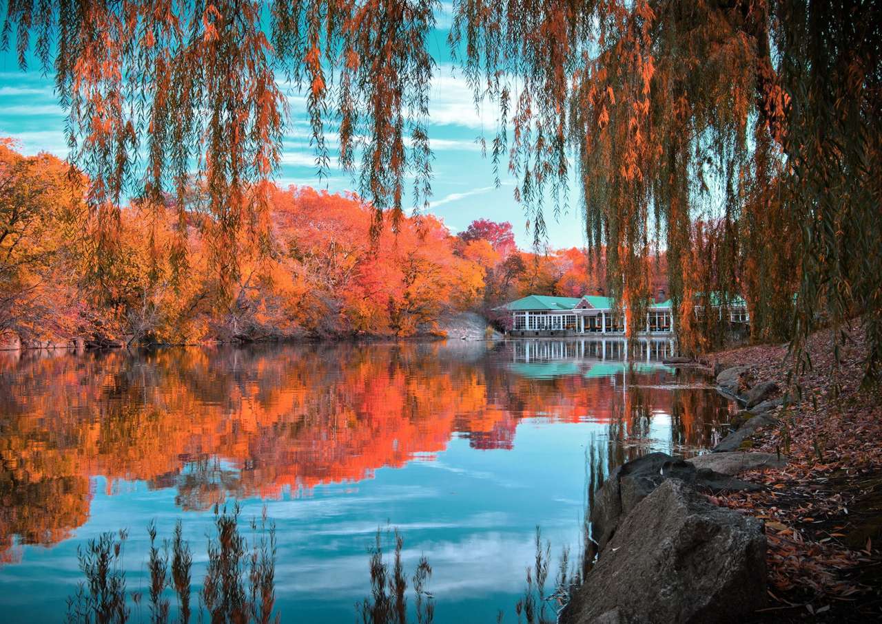 New York - Central Park på hösten, ett mirakel Pussel online